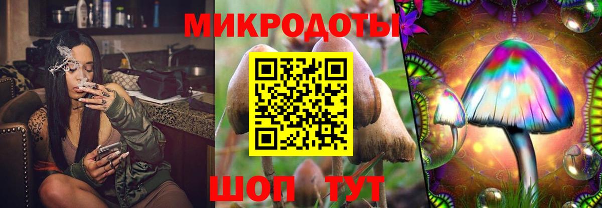 Заволжье  Галлюциногенные грибы Psilocybine cubensis  Вход с VPN 